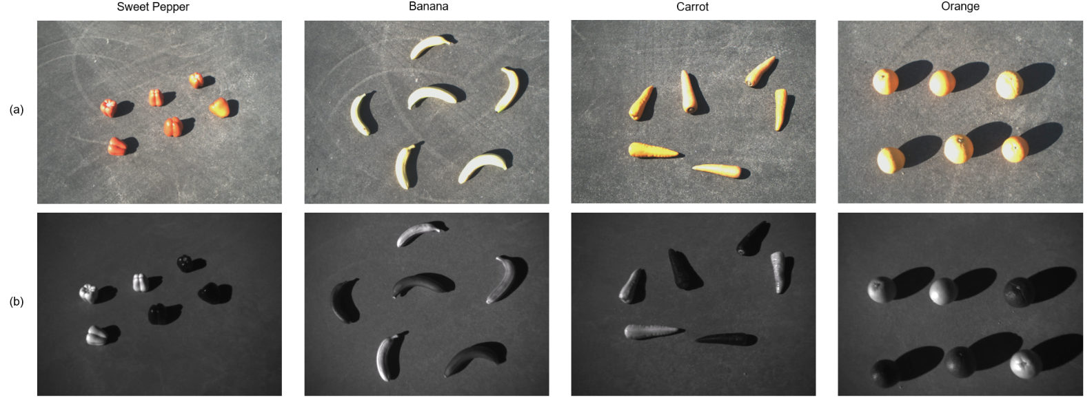 Real and artificial fruits and vegetables in visible images (upper row) and 1550 nm SWIR images (lower row). The SWIR views reveal material-dependent reflectance differences.